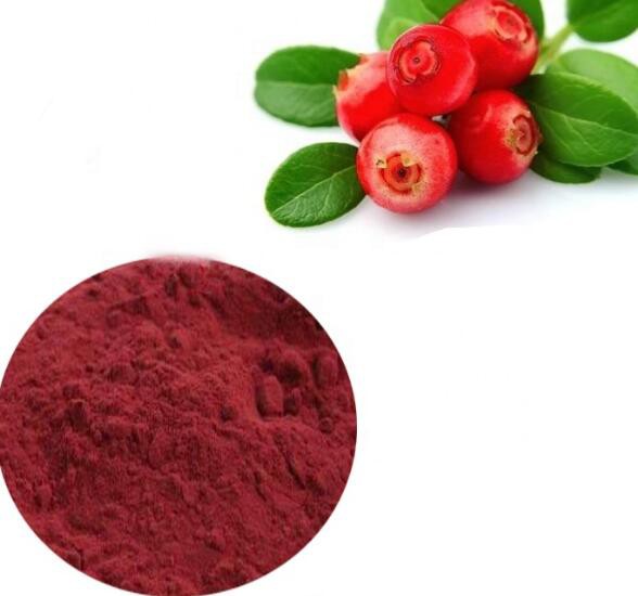 Cranberry Fruit Extract46421408718