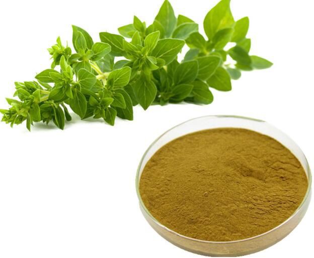 Oregano Leaf Powder40438530113