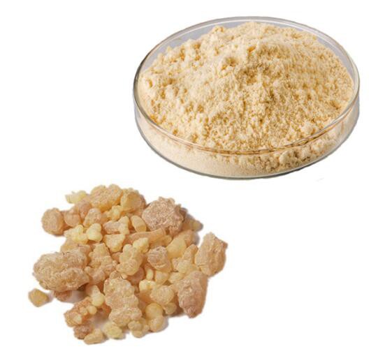 Boswellia Extracts18121619342