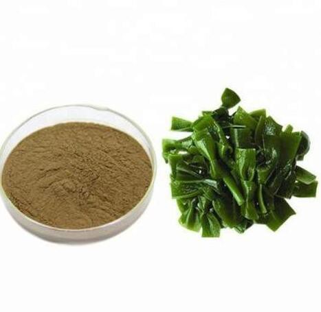 Seaweed Kelp Extract35461283270