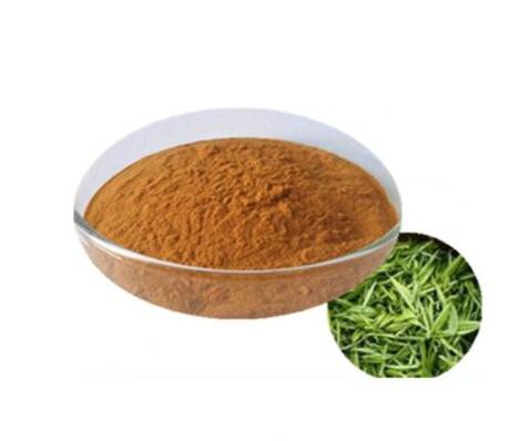 Green tea extract 95 polyphenols28258971440