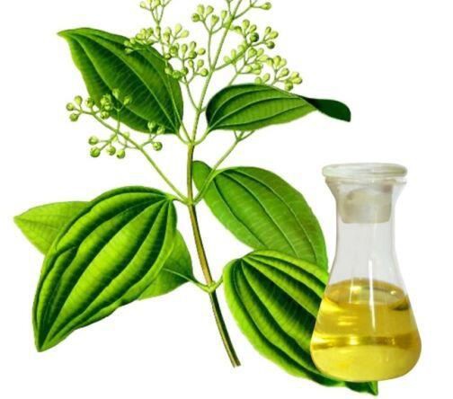 Cinnamaldehyde Essential Oil53393412059