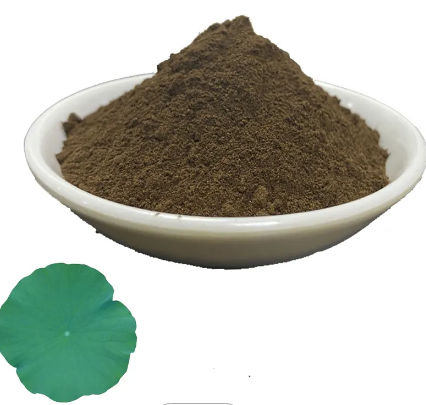 Lotus Leaf Extract90658657 619d 44f5 A77f 6bf4a157e070