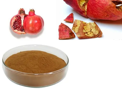 Pomegranate Peel Extract40d7f431 Cdb8 4a5e A35b D7a9051b9235