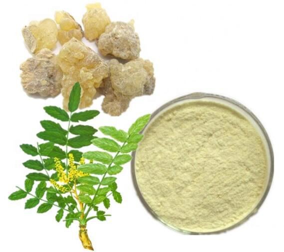 Boswellia extract09111907540