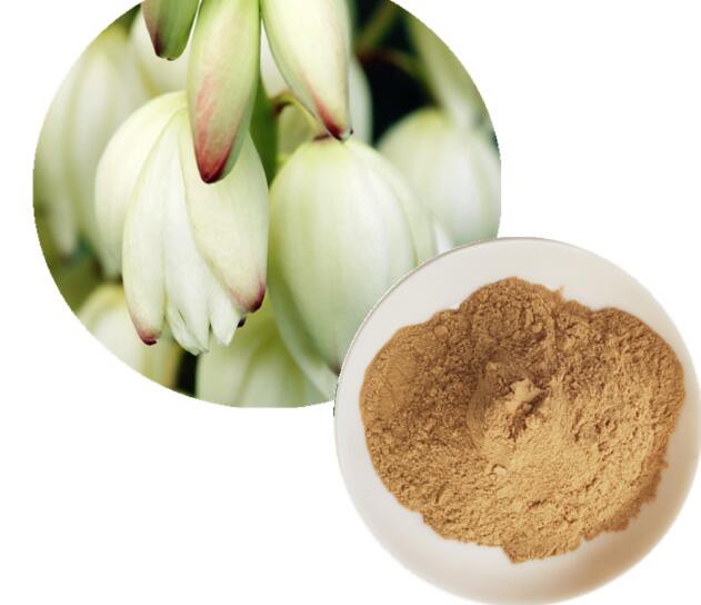 Yucca Stem Extract25265124837