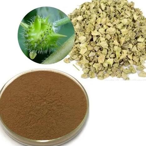 Tribulus Terrestris Extract Powder58539327283