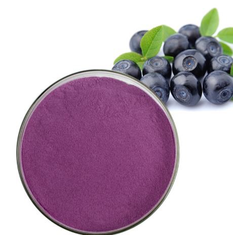 Dried Blueberry Powder08586436996