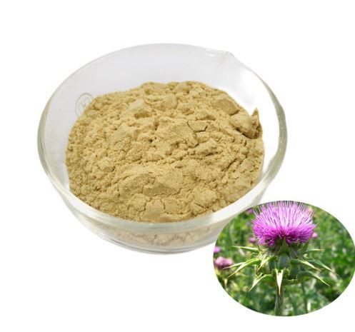 Milk Thistle Powder Bulk22530844937