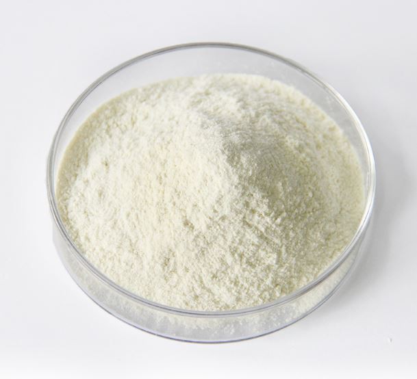 Lactobacillus Lactis28336573492