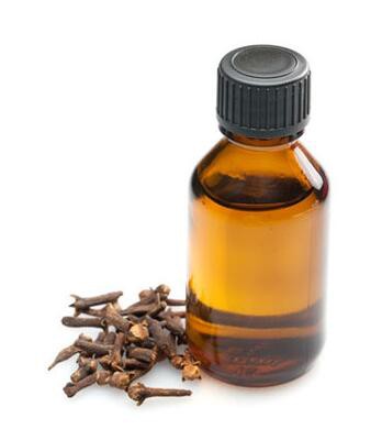 Clove Essential Oil30233694167