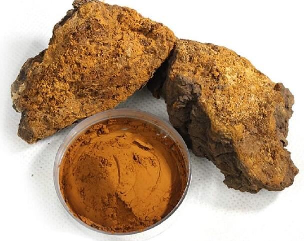 Chaga Powder39257387598