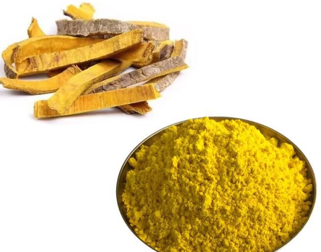 Phellodendron Extract06306511186