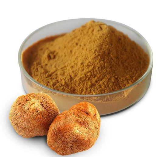 Hericium Erinaceus Extract Powder53545122288