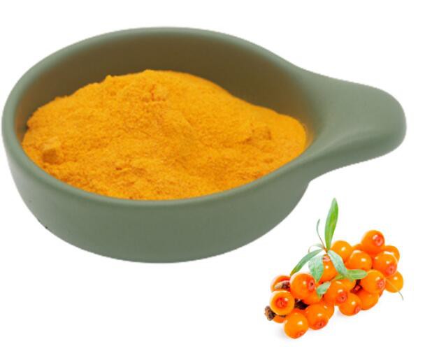 Sea Buckthorn Powder Bulk01548119128