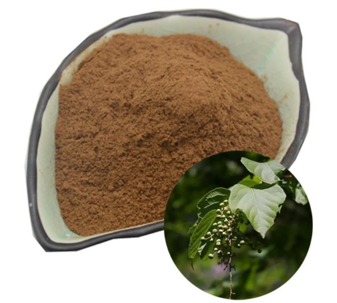 Celastrus angulatus extract35242467037