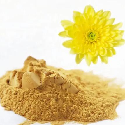 Chrysanthemum Morifolium Extract7c7ea8b2 De6c 40fb 8f00 Aa9322d0ed38