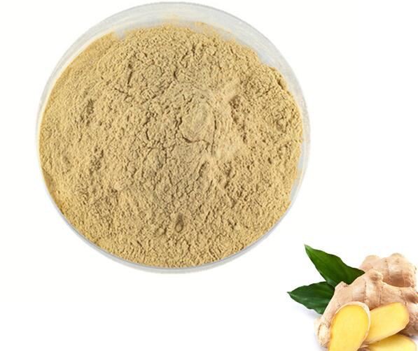 Organic Ground Ginger Root Powder06149444157