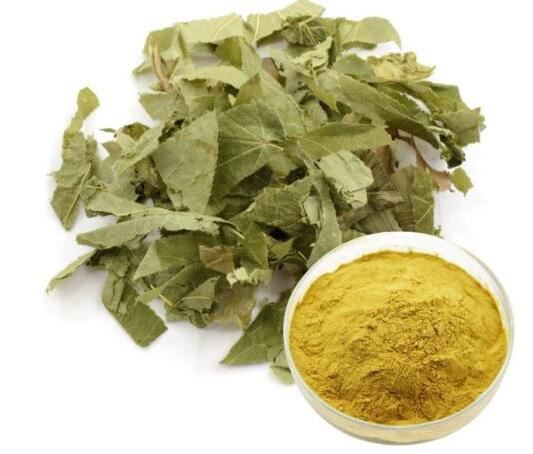 Epimedium Extract Powder24100813248