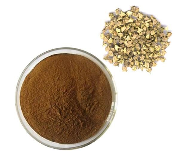 Pure Tribulus Terrestris Powder16349762000