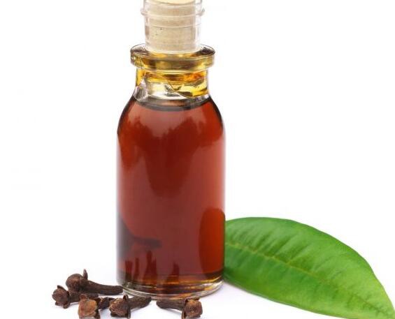 Clove Oil13355844042