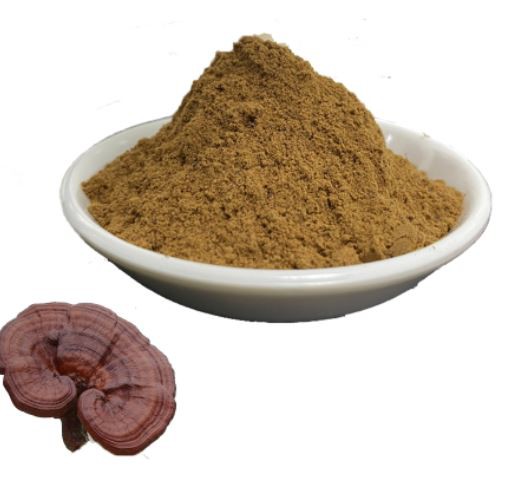 Ganoderma lucidum powder33553886922