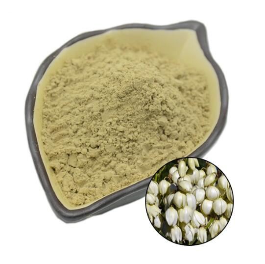 Organic Yucca Extract31577163577