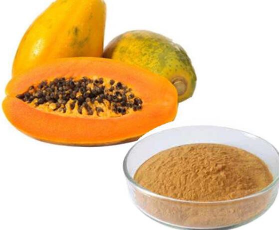 Organic Papaya Fruit Powder13074184336