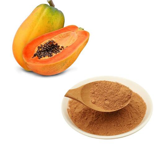 Papaya Powder34440618511