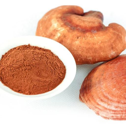 Red Reishi Mushroom Extract49545428653