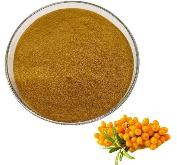 Hippophae Rhamnoides Fruit Extract33321142884