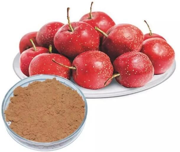 Hawthorn berry extract powder18527406981