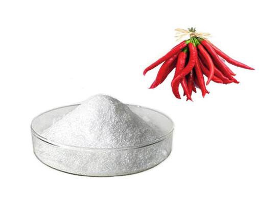 Capsaicin22268147024