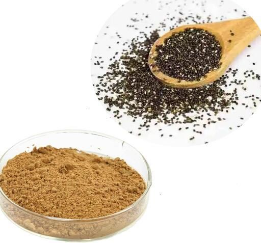 Powder Chia Seeds13236345550