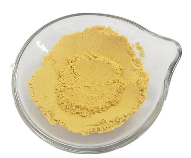 Dehydrated Pumpkin Powder15078171987