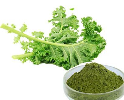 Dried Kale Powderecb71c8e Cbcc 4521 A7b7 0a2f96d66fa8