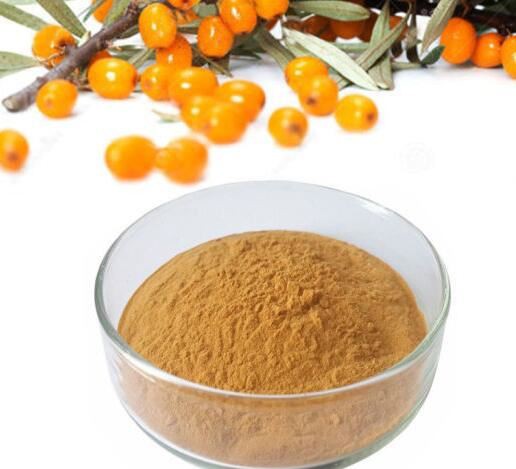 Organic Sea Buckthorn Powder05586335406