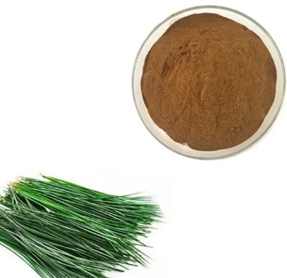 Pine Needle Extracta803653c 03ce 48db 9ebc 42b5f093a104