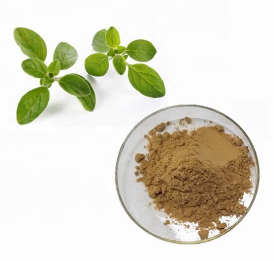 Oregano Extract29119747012