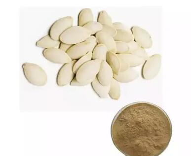 Pumpkin Seeds Powderf8ff4ca0 8eed 4d3b Bfa6 Ab8d4b5cc373