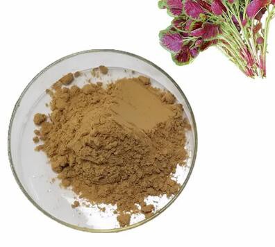 Amaranth Extract41ff0b34 862f 44c3 8b35 988529e04d8c