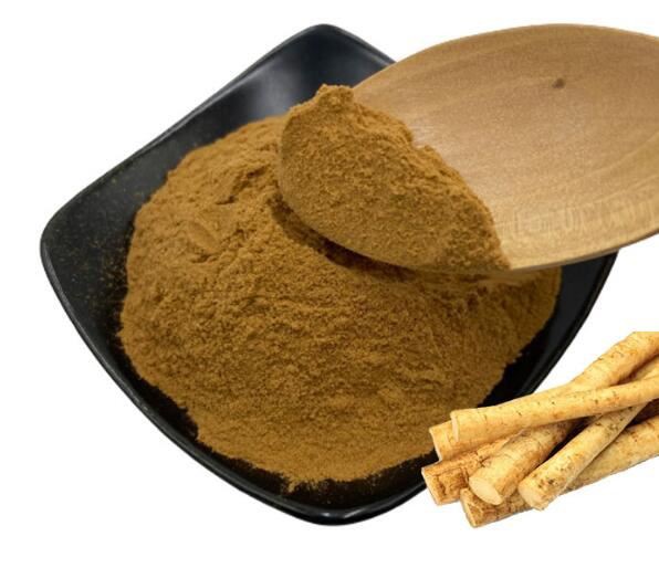 Burdock Plant Extract17431360387