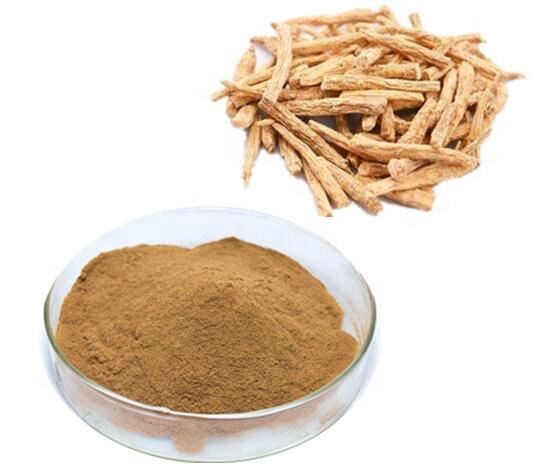 Codonopsis Extract22505770113