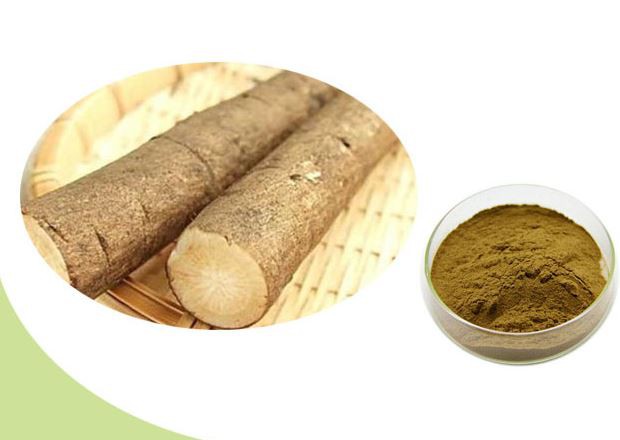 Burdock extract25442404498