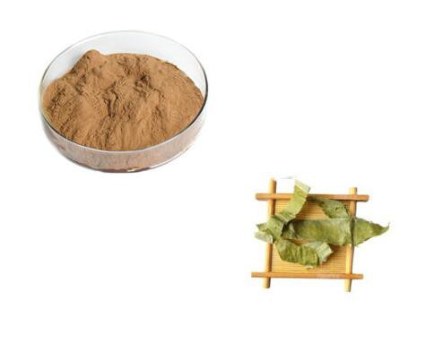 Icariin Extract35155606183