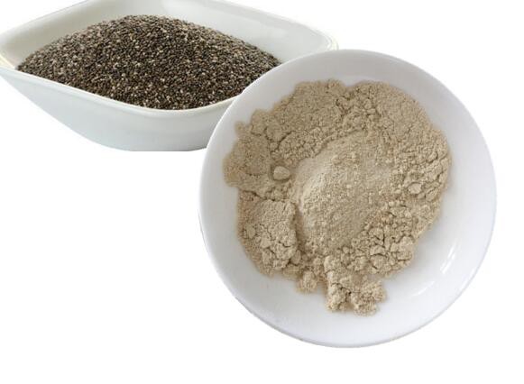 Chia Seed Extract42113142940