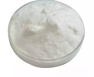 Bulk L Carnitine Powder06584320812