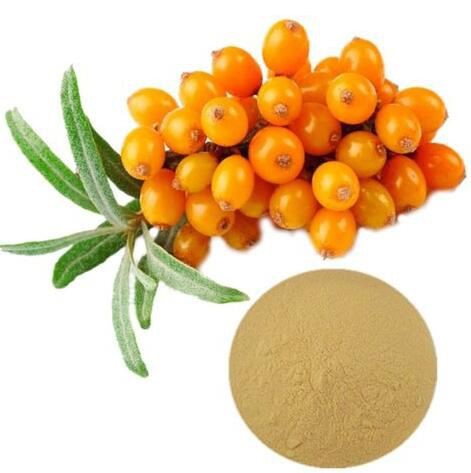 Organic Sea Buckthorn Fruit Powder52507376942