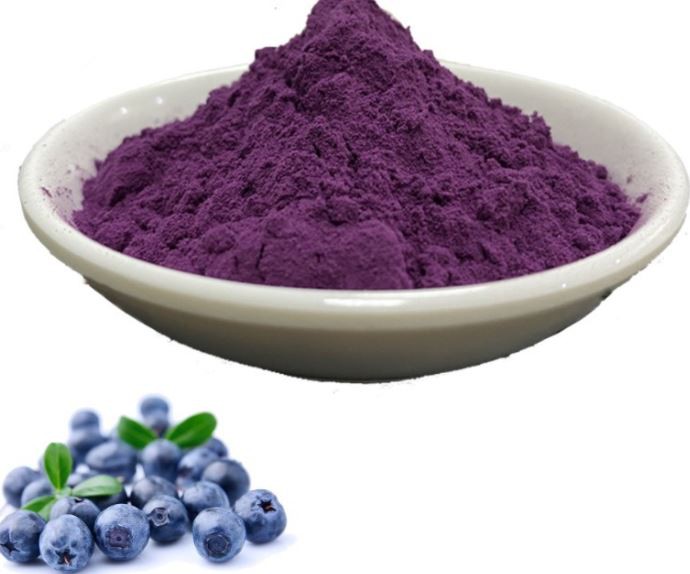 Bulk Blueberry Powder01580031470