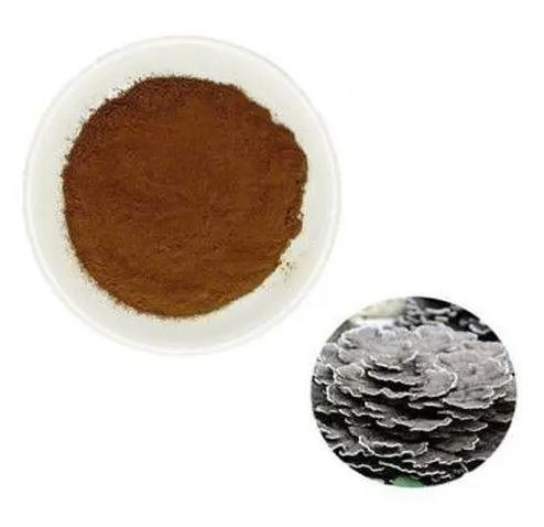 Coriolus Versicolor Extract18486396158